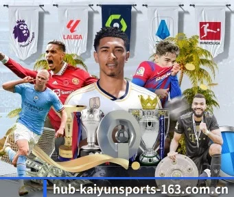 开云体育 APP（KAIYUN SPORTS）